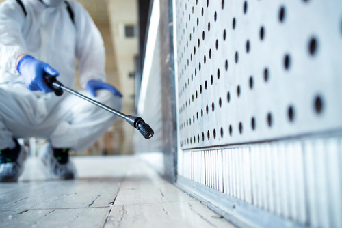 Can Sanitization & Disinfection Service Kill Pests Too?