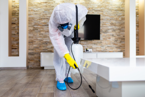 Is Post-Renovation Pest Control Important?