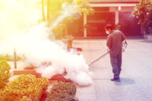 Tips When Hiring Pest Fumigation Services