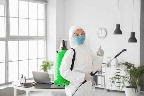 Pros And Cons Of Fumigation Service