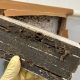10 Eco-Friendly Termite Control Methods